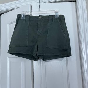 NWT Hudson Short